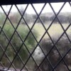 Double glazing repairs