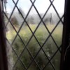 Window repairs